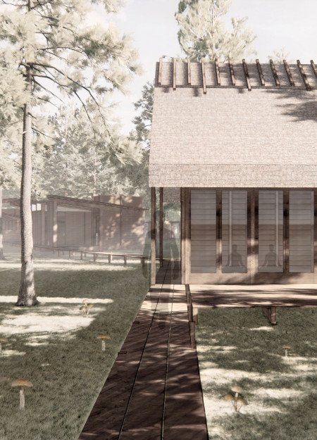 Forest Wellness Retreat with Elevated Timber Cabins