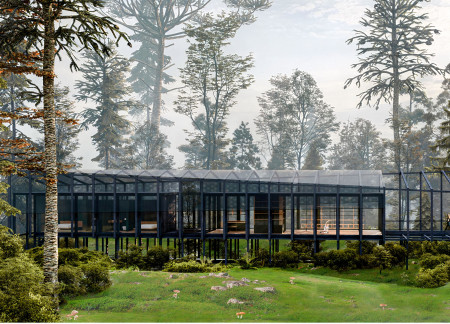 Wellness Space Elevated in a Forest Canopy