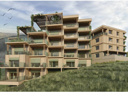 Biophilic Design with Cross-Laminated Timber Panels and Charred Wooden Shingles in a Senior Living Facility