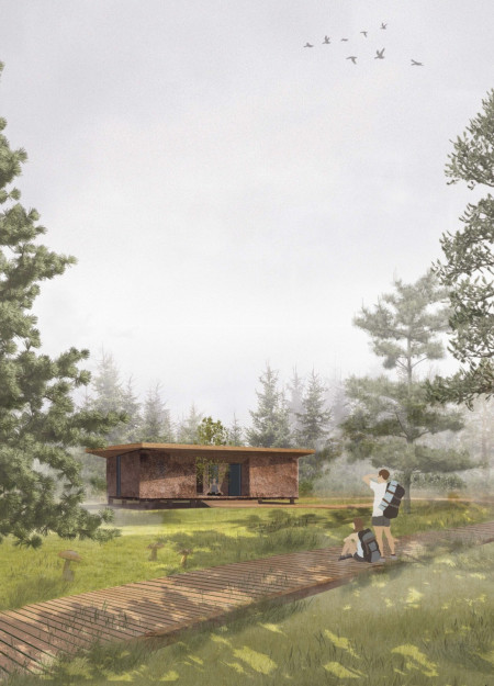 Thatch Roof and Zinc Cladding Harmonize in a Sustainable Baltic Retreat