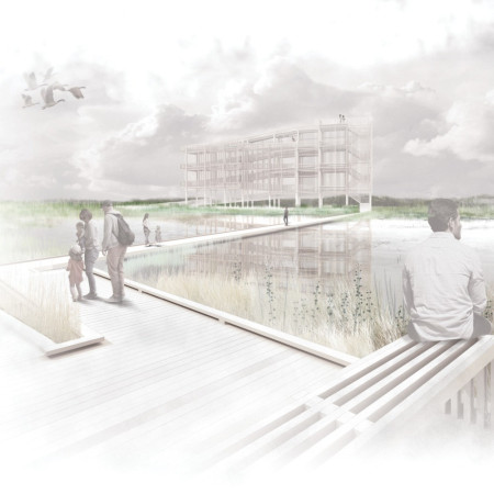 Elevated Observation Decks Crafted from Heavy Timber and Designed for Ecological Engagement