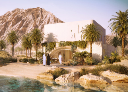 Curvilinear Masonry Panels and Xeriscaped Landscapes in Desert-Compatible Residential Design