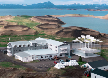 Curved Surfaces of Charred Wood and Glass Embrace Geothermal Wellness