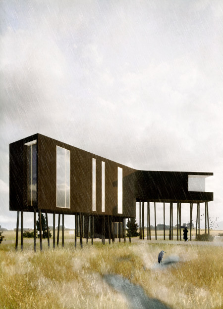 Marshland Hub on an Elevated Timber Structure
