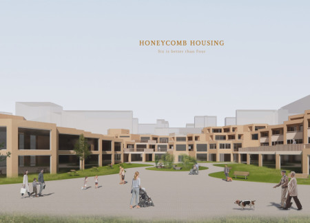 Hexagonal Living Spaces Created with Charred Wooden Shingles and Natural Light Integration