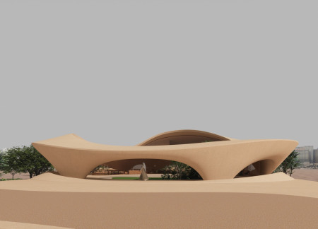 Canopy-Integrated Glazing and Textured Facades in Desert-Responsive Residential Design