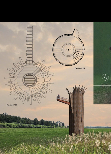 Elevated Viewing Platform Crafted from Warped Wood and Steel Integrating Natural Light