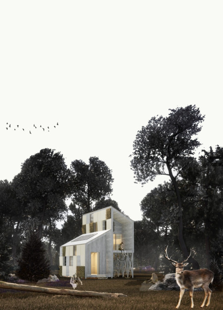 Elevated Living with Charred Wood Cladding and Energy-Optimizing Design