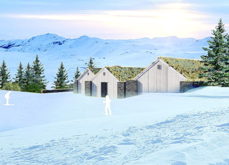 Basalt Stone Facade and Green Roof Integration in a Sustainable Residential Retreat