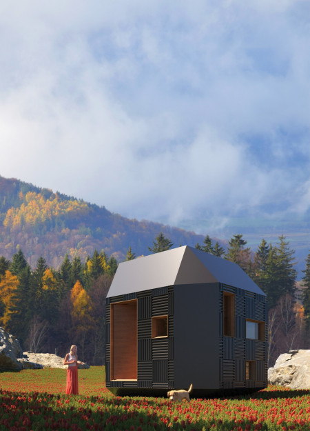 Cross-Laminated Timber Panels Enhance Sustainable Microhome Living