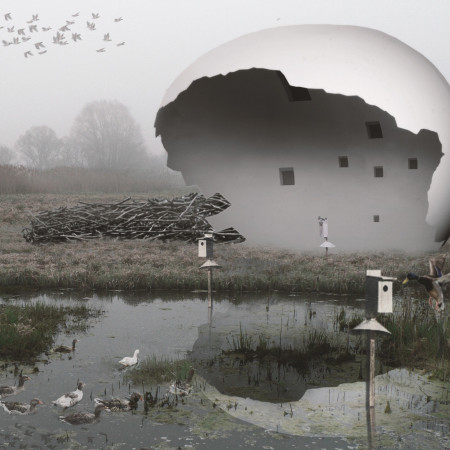 Ecological Birdwatching Tower Featuring Kingspan and Troldtekt in a Curved Egg Shape