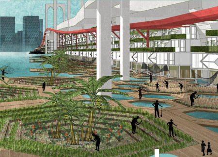 Ocean Ranches and Stepped Planting in Sustainable Timber Residences