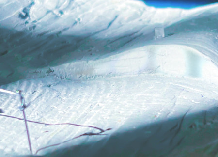 Curvilinear Glass Facade with Earth-Sheltered Design Reinforcing Community Spaces