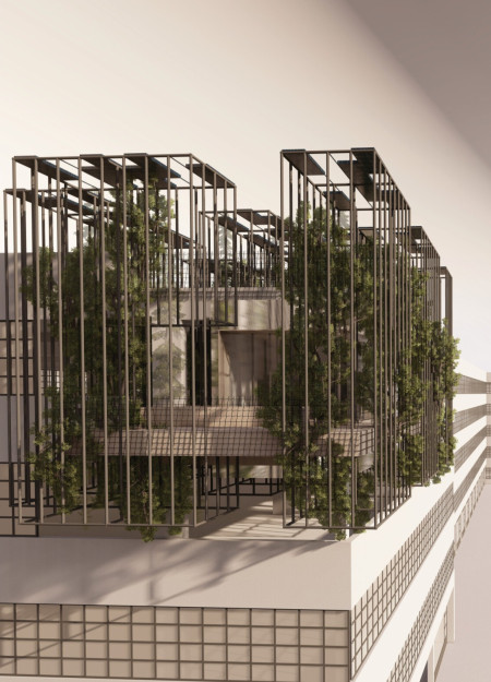 Charred Wooden Shingles and Cross-Laminated Timber Define Sustainable Urban Living Spaces