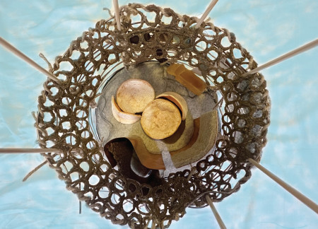 Grapefruit Peel Furnishings and Copper Room Dividers Create a Healing Lounge Experience in a Natural Setting