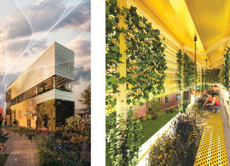 Charred Wooden Shingles and Modular Hydroponics in Sustainable Micro-Housing for Urban Resilience