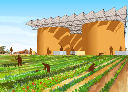 Sustainable Urban Agriculture Integration with Photovoltaic and Rainwater Systems