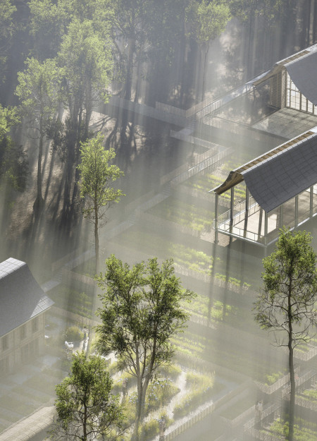 Cross-Laminated Timber Design Integrated with Community Gardens for Sustainable Living