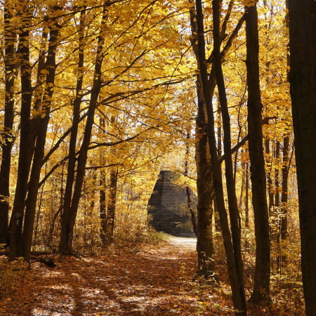 Pentagonal Pavilion Embracing Nature Through Textured Concrete and Warm Timber Elements