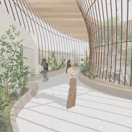 Curvilinear Design with Cross-Laminated Timber Panels Integrated into a Therapeutic Sanctuary