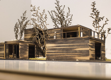 Healing Spaces Crafted with Natural Materials and Thoughtful Zoning