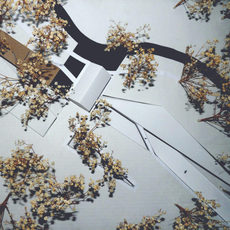 Perforated Timber Rods and Natural Light Integration in a Dedicated Wellness Retreat