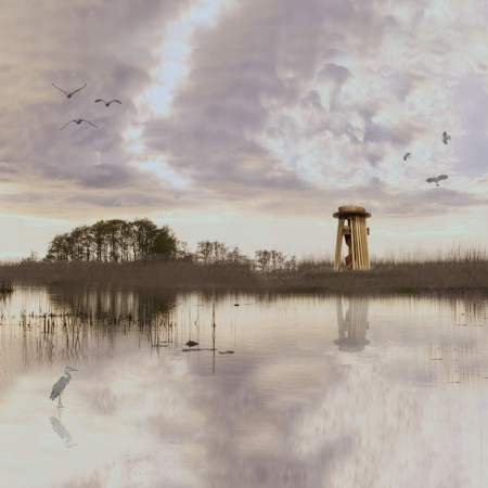 Cylindrical Observation Tower with Cross-Laminated Timber and Natural Reed Roofing for Enhanced Birdwatching Experience