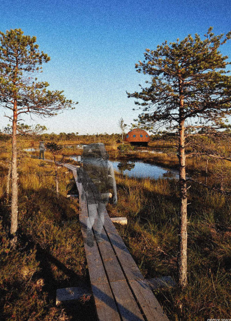 Elevated Timber Cabins with Circular Design Inspired by Local Flora