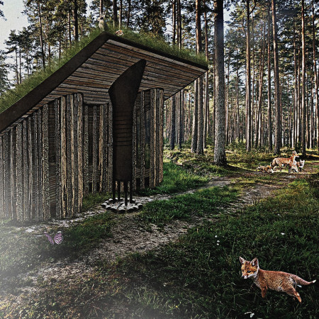 Elevated Living Space with Walkable Roof and Natural Insulation Elements