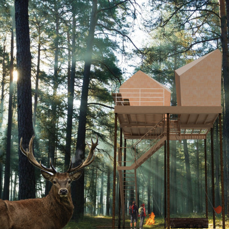 Elevated Terraces of Charred Wood and Polycarbonate Amidst the Forest Canopy