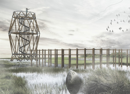 Cross-Laminated Timber Platforms Elevated Above Nature for Bird Observation