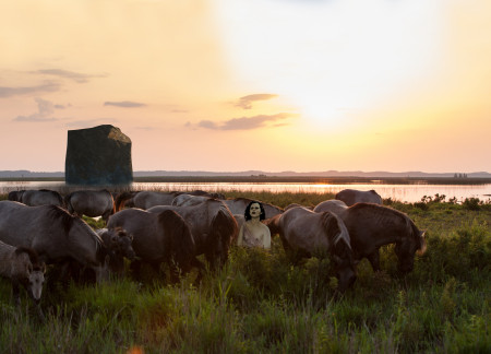 Natural Rock Facade Overlooking Local Ecosystems in a Timber Bird Observatory