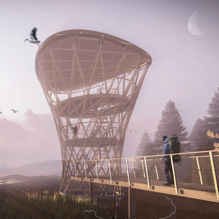 Curvilinear Timber Structure Enhancing Birdwatching Through Elevated Observation Platforms