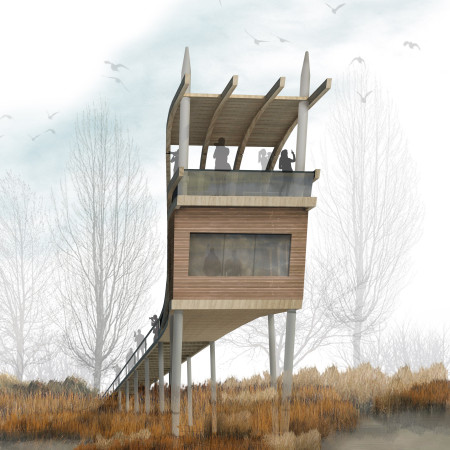 Elevated Walkway Constructed with Tempered Glass and Timber Cladding Overlooking Native Habitats