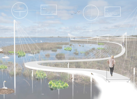 Cross-Laminated Timber Panels Define a Modern Observation Platform Integrating Natural Ecosystems