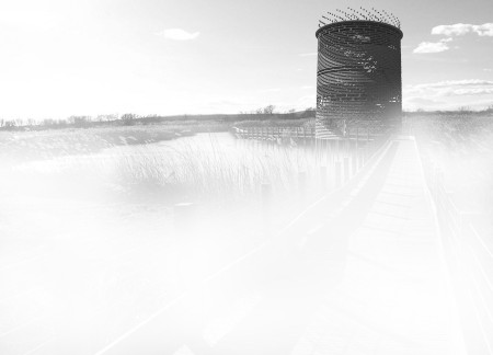 Timber Cylinders and Natural Light Create an Engaging Observation Platform in Latvia