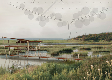 Charred Wooden Shingles Highlight Fluid Curvilinear Form in Community Space