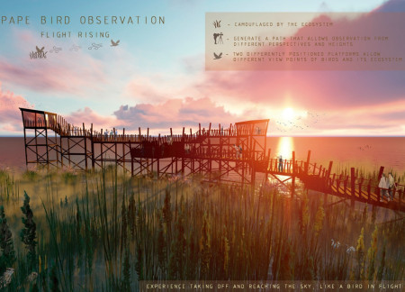 Elevated Observation Platforms Crafted from Local Pine in a Sustainable Wetland Setting