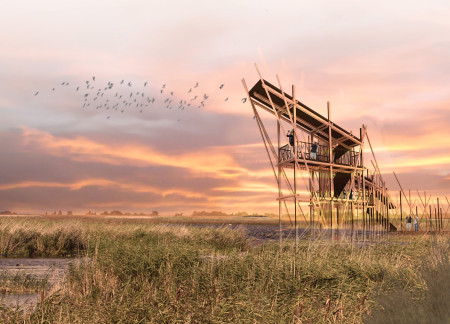 Elevated Viewing Platforms Crafted from Laminated Timber Panels Enhancing Avian Interaction