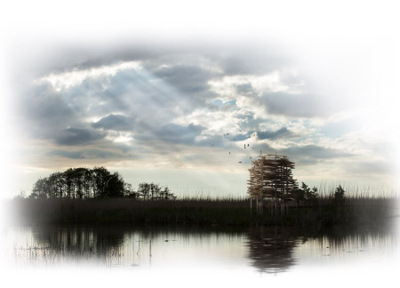Elevated Observation Structure with Charred Wooden Shingles and Timber Integration for Habitat Preservation
