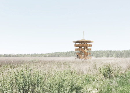Charred Wooden Shingles and Colored Strips Defining a Contemporary Bird Observation Structure