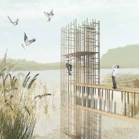 Elevated Lattice Platform Crafted from Reclaimed Wood for Wildlife Observation