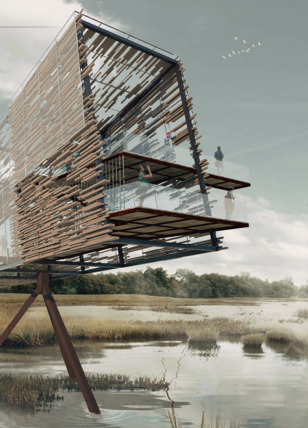 Skeletal Structure of Charred Wood and Glass Enhancing Avian Observation in Natural Habitat