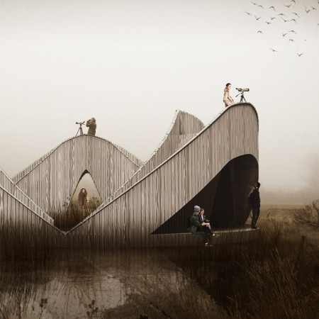 Curved Observation Decks in Heartwood of Siberian Larch