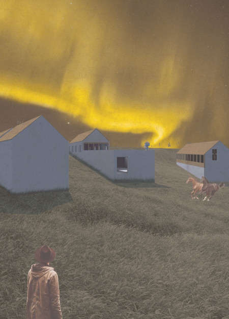 Cross-Laminated Timber Panels and Vertical Gardens in a Multi-Purpose Community Space