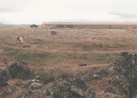 Charred Wooden Shingles and Timber Cabins Embracing Nature in a Community Retreat