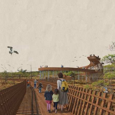 Twisted Viewing Deck Crafted from Sustainable Timber Panels in a Natural Wetland Setting