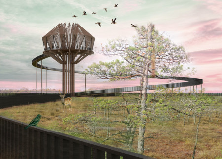 Circular Observation Platform Crafted with Sustainable Timber and Transparent Design Features