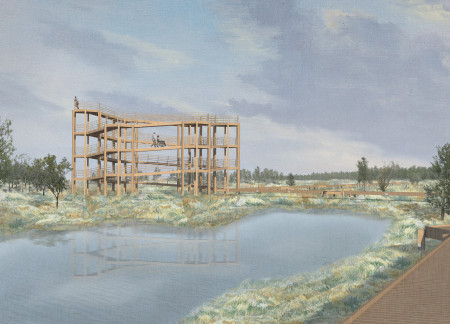 Hexagonal Pinewood Platforms Integrated into Marshland with Galvanized Steel Connections