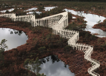 Serpentine Pathway Crafted from Sustainable Pine Wood That Integrates Cultural Narratives in a Natural Reserve
